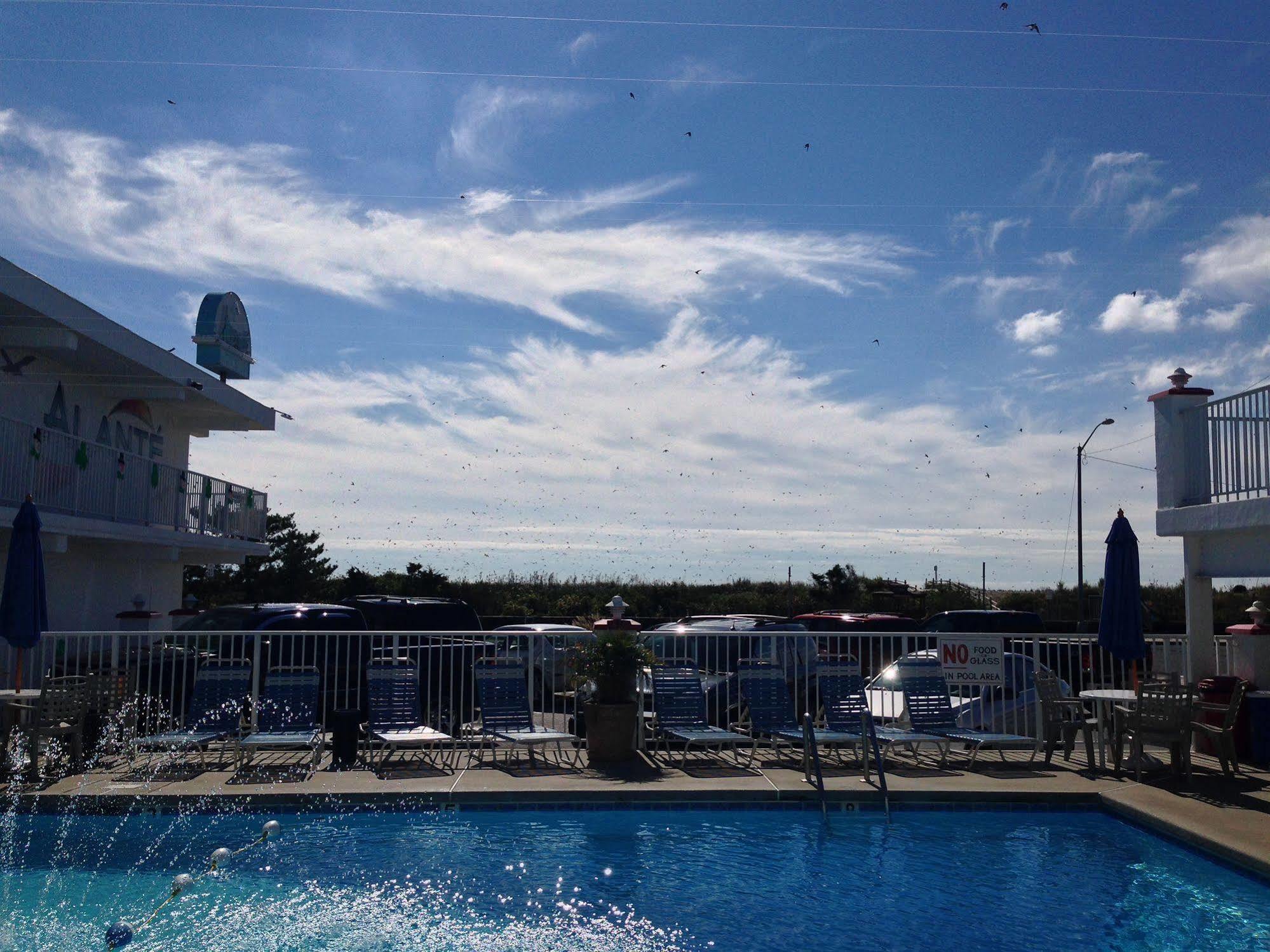 Alante Oceanfront Motor Hotel North Wildwood Buitenkant foto